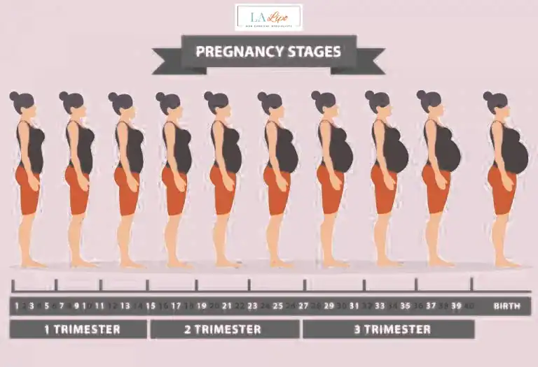 First Trimester (Weeks 1–12): Early Changes You Might Not Notice Norwich
